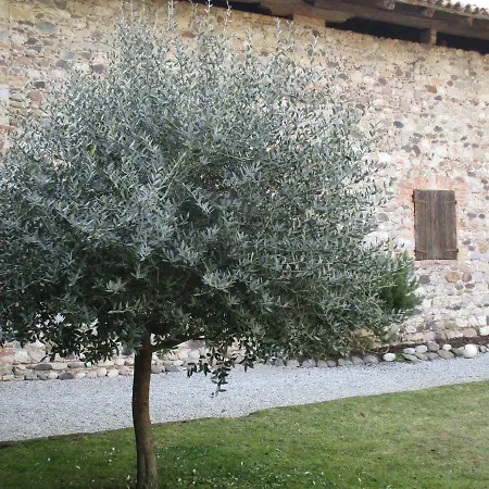 La Corte Di Ottorina Pederobba Buitenkant foto