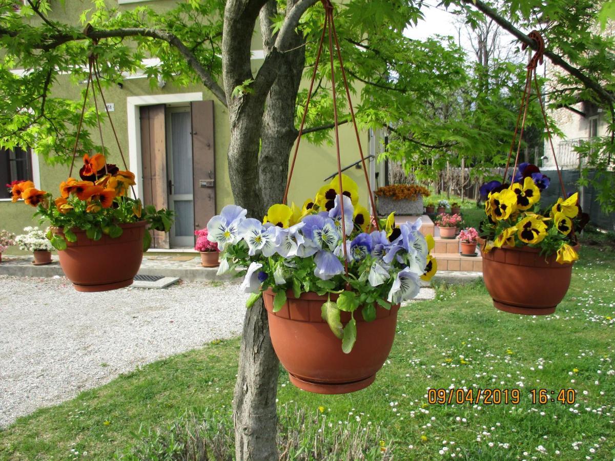 La Corte Di Ottorina Vakantiehuis Pederobba