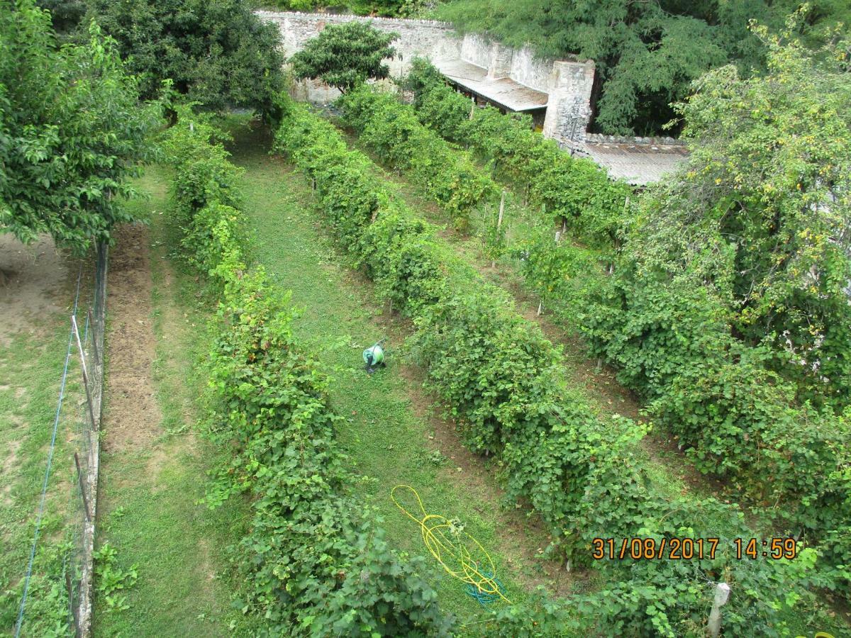 La Corte Di Ottorina * Pederobba